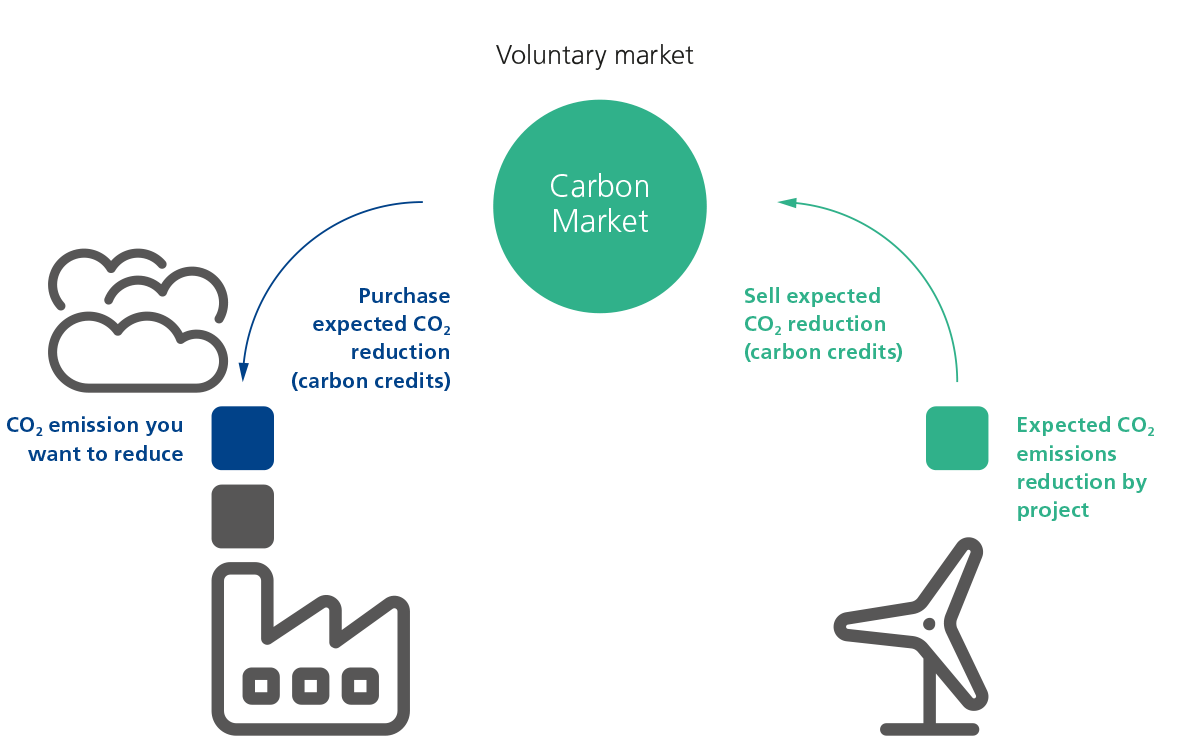 carbon market in the voluntary market