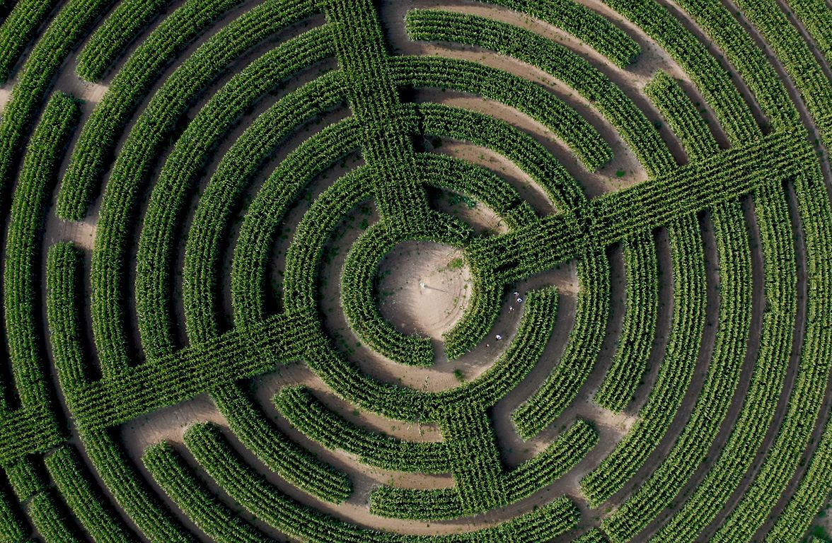Aerial view of maze demonstrating the impartiality of an outsider perspective 