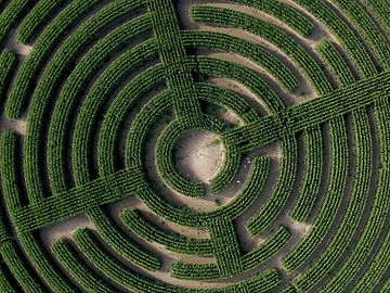 Aerial view of maze demonstrating the impartiality of an outsider perspective 