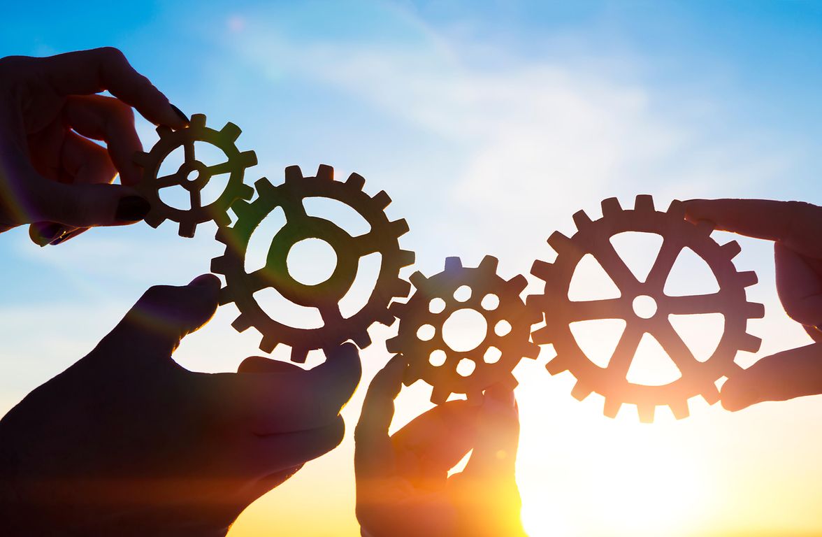 Portfolio management in cooperation with institutions