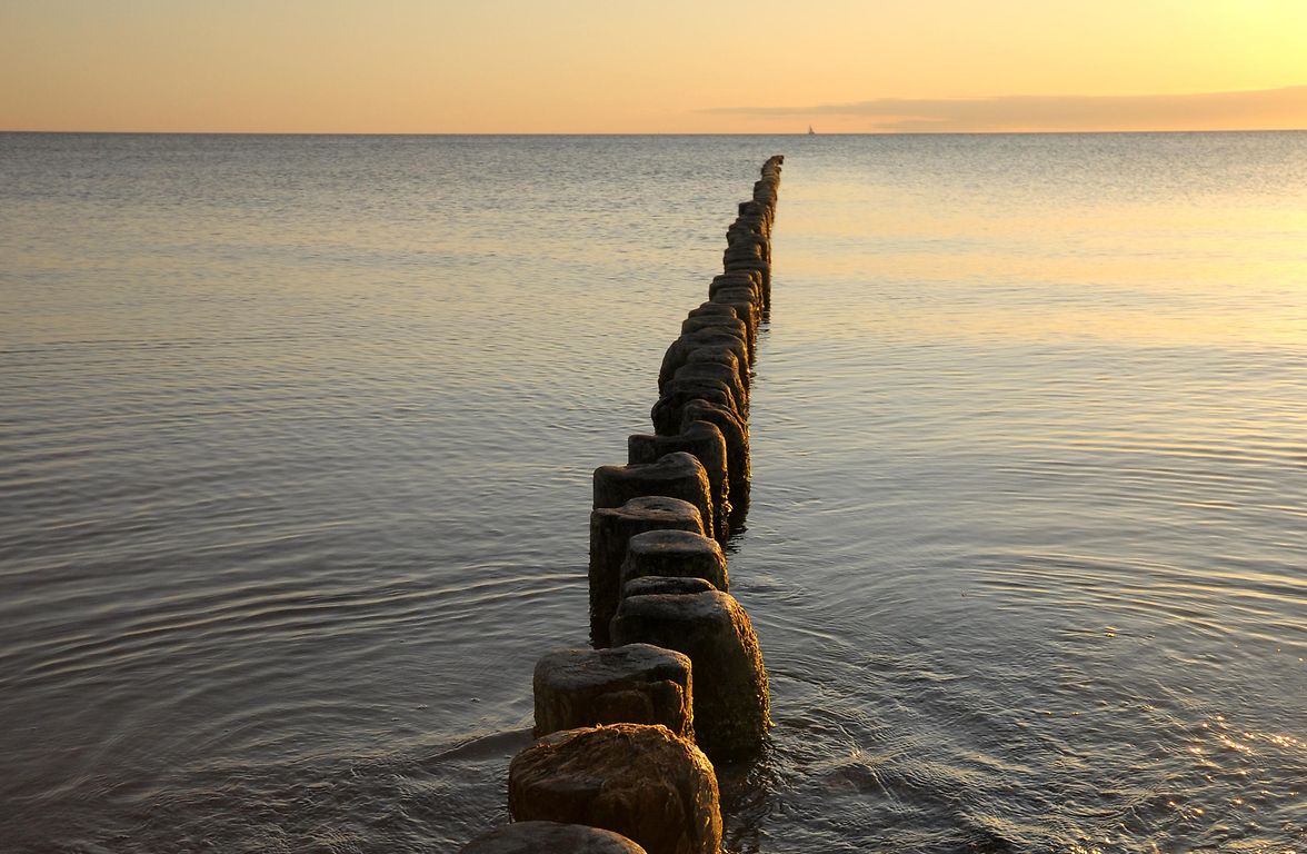 Portfolio management for charities