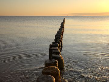 Portfolio management for charities