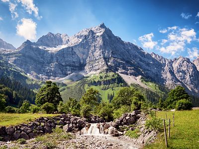 mountain and trees