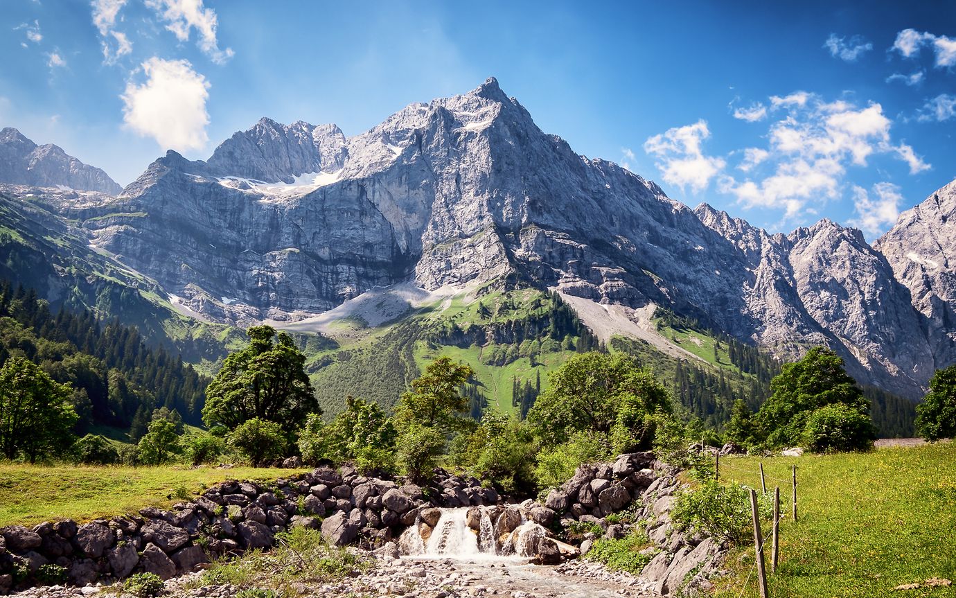 mountain and trees