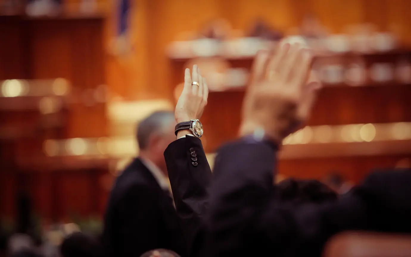 hands in the air voting