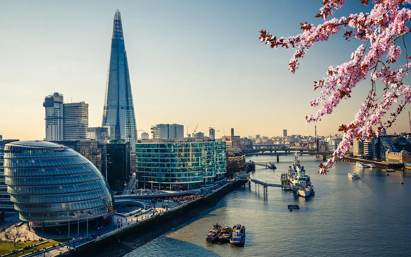view of shard and blossom trees