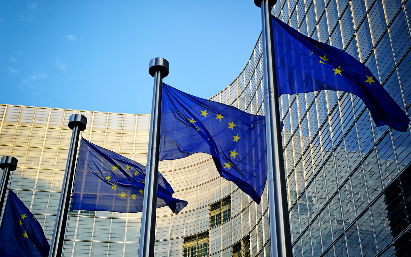 EU flags