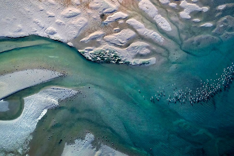aerial view of ocean