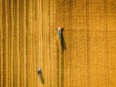 Harvester machine working in field