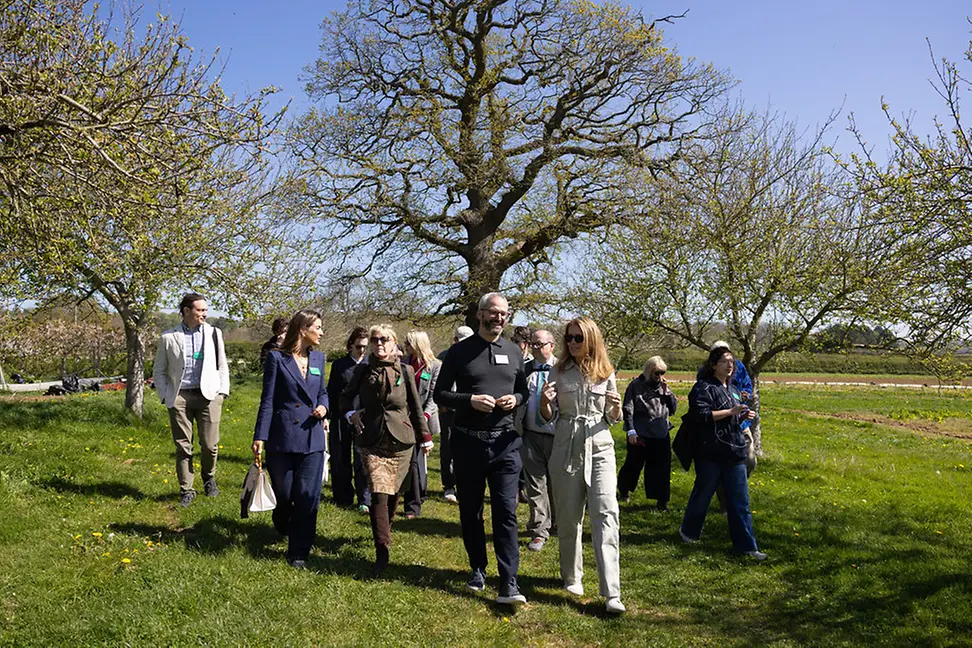 Group walking through field