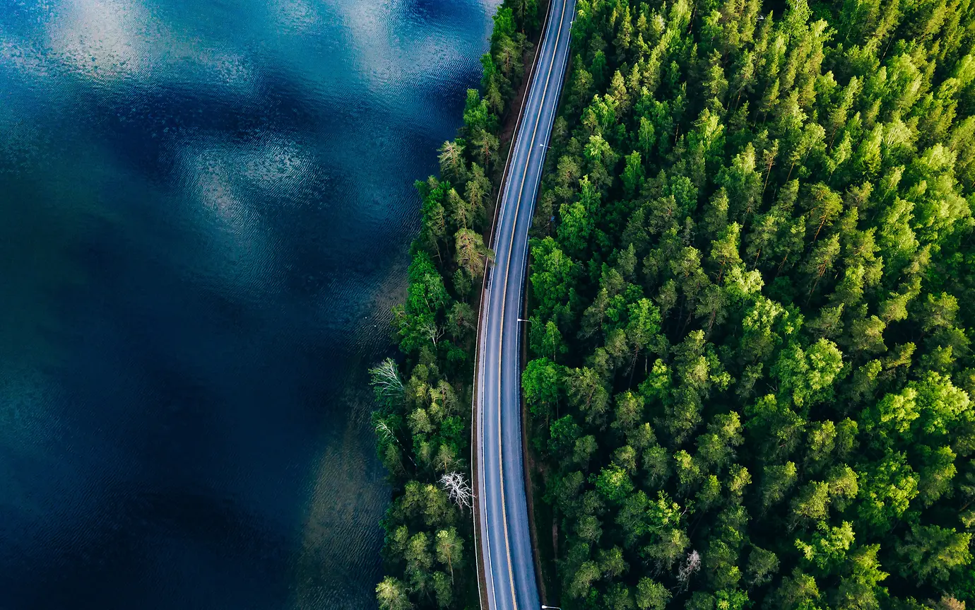 Road between forest and open body of water