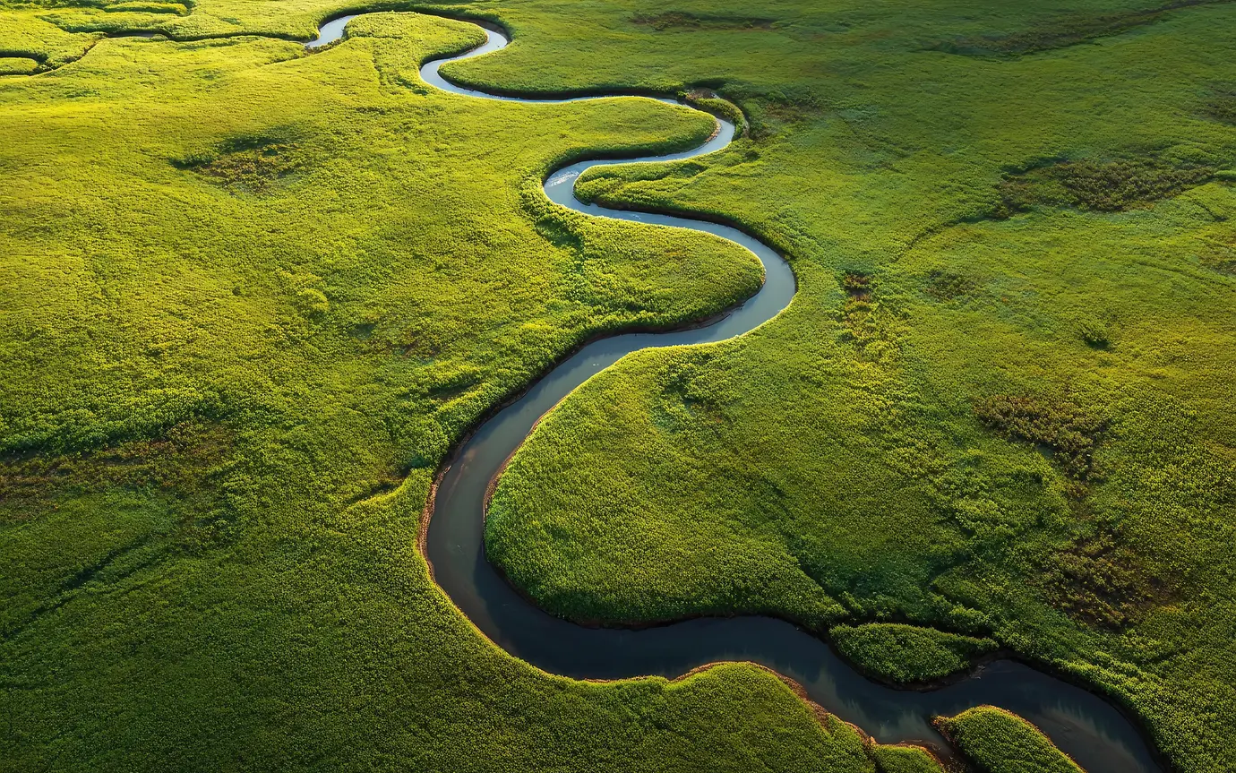 Aerial view of a winding river flowing