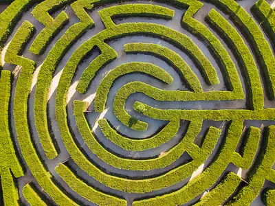Maze of bushes in botanical park