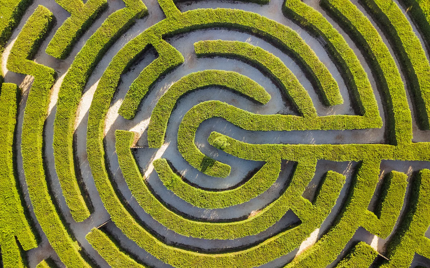 Maze of bushes in botanical park